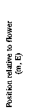 Text Box: Position relative to flower                (m, E)